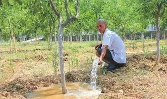 营养土浇水后裂开