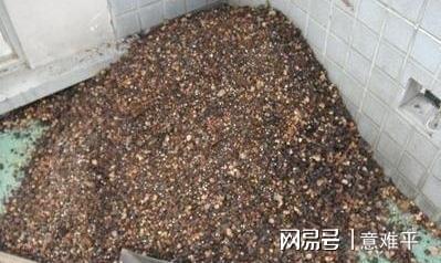 兰花专用土里面可以再加营养土吗