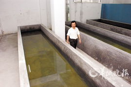 南澳Ⅰ号 出水自打捞以来最大体量青花瓷器 