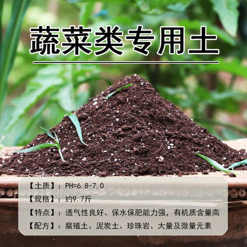 营养土养兰花怎么养