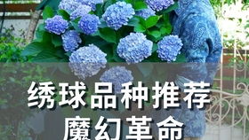换了营养土还用施肥吗