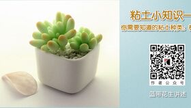 黑黏土怎么改良成种植土