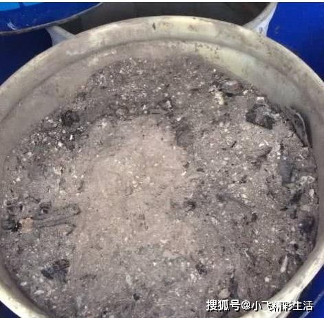 这些都是宝,养花人千万别错过