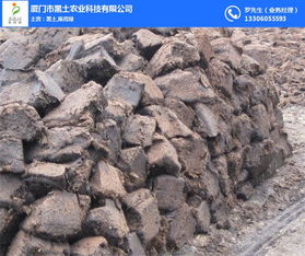 泥炭土是什么土