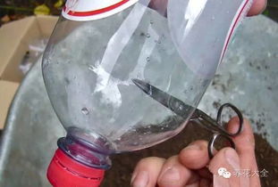 的配土比例泥炭土珍珠岩蛭石