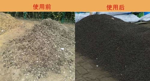 养花人,为什么都爱羊粪,作用太多了,养花一级棒