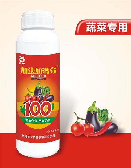 辣椒的种植管理 