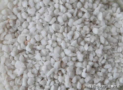 养花颗粒土哪种比较好