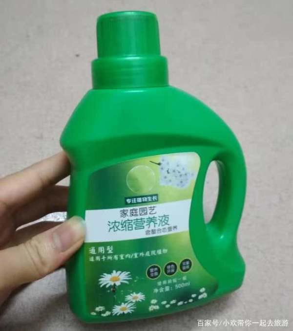 花店的营养液与家用的复合肥哪个养花好呢 
