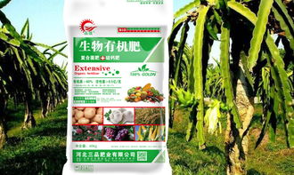 有机肥料搅拌机报价 厂家