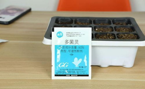 多菌灵别乱用,不对症,喷再多也没用