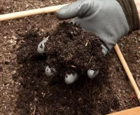 敲黑板 可生物降解与可堆肥降解你分得清吗