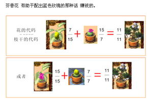 养花大亨的魔法花怎么种 