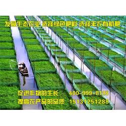 羊粪有机肥厂,石泉县羊粪有机肥,丰农有机肥 