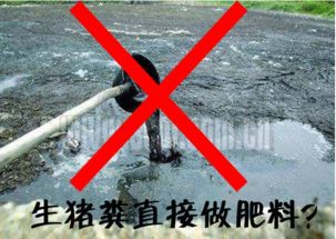 养猪场猪粪还不知道如何处理 1个简单方法让猪粪变有机肥料