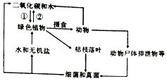 小明看到爸爸在移栽一棵月季.他提醒爸爸 要去掉几片叶 .小明这样说的理由是为了 A.操作方便B.减少水分蒸腾C.降低光合作用D.降低呼吸作用 题目和参考答案 