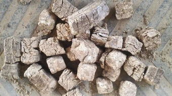 办一个生物燃料厂需要多少钱