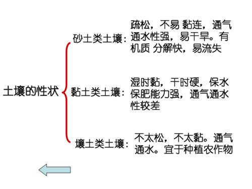 土壤与植物生长的关系