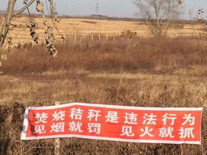 秸秆返田增加土壤保水能力
