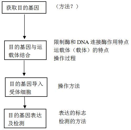 干货 几种育种原理,方法和过程与生物变异 杂交 