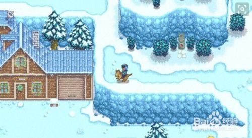 星露谷物语破解版 星露谷物语无限金币版下载 中文破解版 起点软件园 