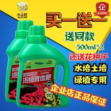 合肥市香樟园林 