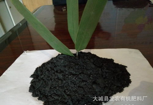 优惠券 十大品牌排行榜 哪个牌子好 淘宝商城 天猫商城精选 京东商城 拼多多商城