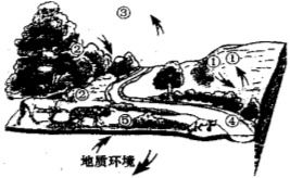 土壤不渗透水怎么办