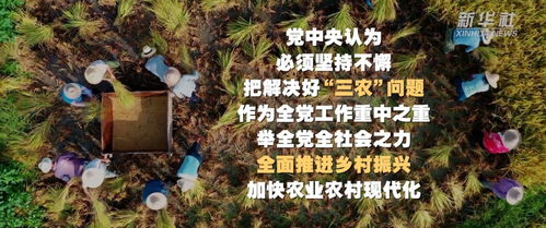 2023年中央一号文件公布