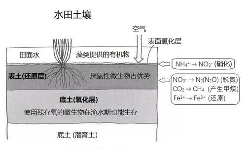三种土壤有什么不同各有什么特点