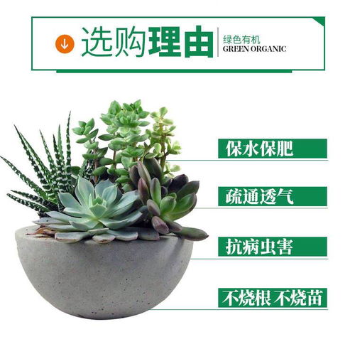 网上买花卉营养土可靠吗