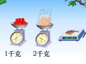 营养土一立方多少公斤