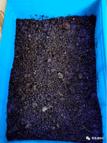 公开课 简单易学的羊粪发酵教程