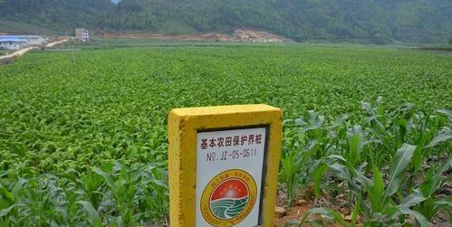 在承包土地种果树合法吗、在承包土地种果树合