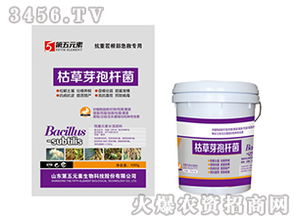 抗重茬专用肥料