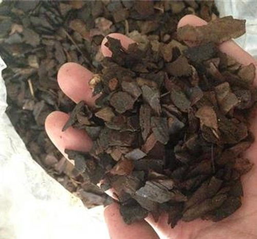 都喜欢用松树皮给兰花配土,混配之后,效果真好