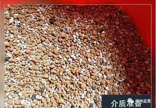 怎么使土壤疏松透气-如何使土壤疏松透气