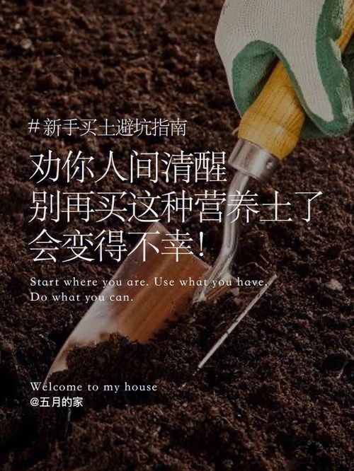 种花到底用什么土 手把手教你选对营养土 