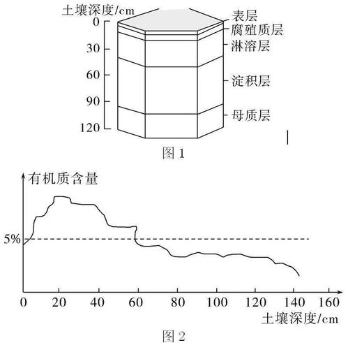 土壤的有机质含量与什么有关—土壤有机质含量