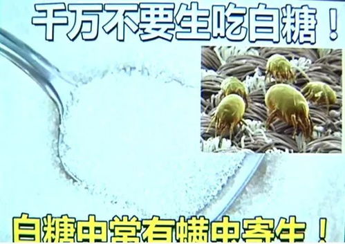 花盆里有密密麻麻小黑虫