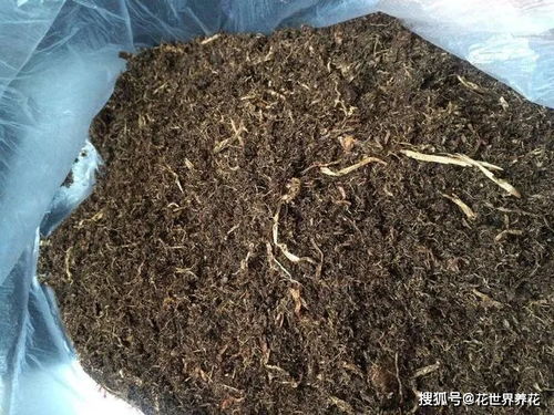 去山里逛一圈,发现不少养好好东西,铺在土里养花极好