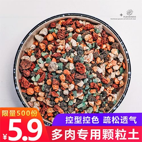 多肉用颗粒土还是营养土种植-多肉植物用颗粒土