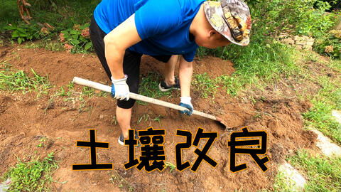 种菜营养土的配制方法-种菜营养土的配制方法和