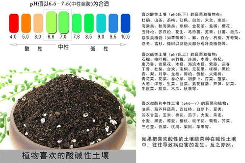 3分钟读懂绿萝究竟喜欢酸性土还是碱性土