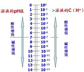 高中化学 酸碱溶液的PH计算方法 最好有几 