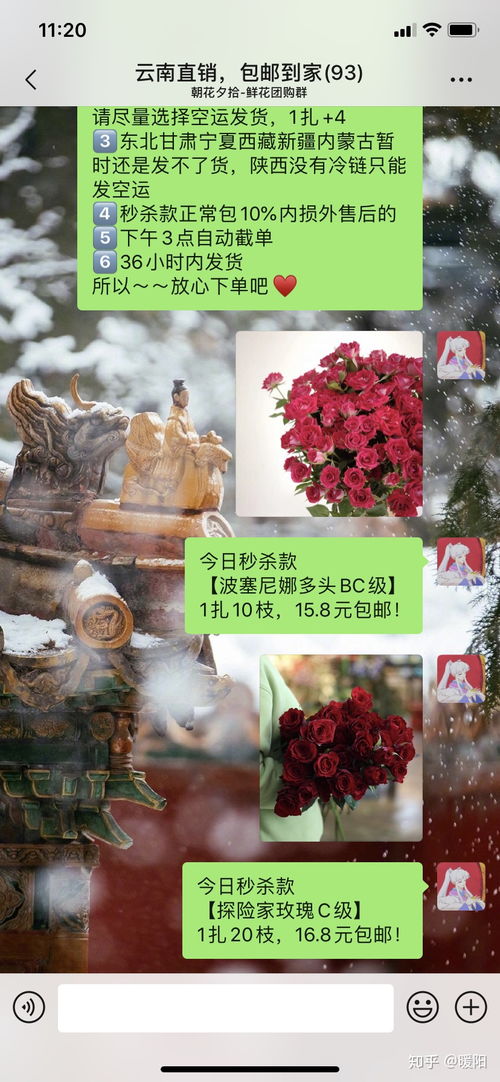 买花是实体店还是淘宝 