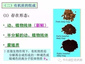 土壤通气度过大的危害