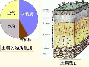 土壤全氮和有机质的换算-土壤全氮和有效氮关系