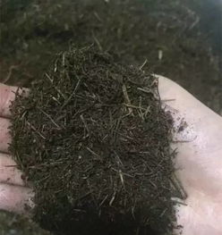 锯末做营养土最快的制作方法、木屑和土混一起