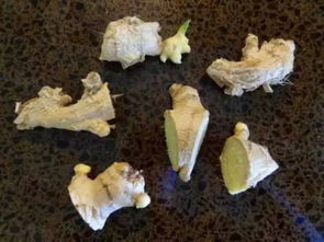 你居然还在浪费钱买菜 这几种菜买一次够吃一年 